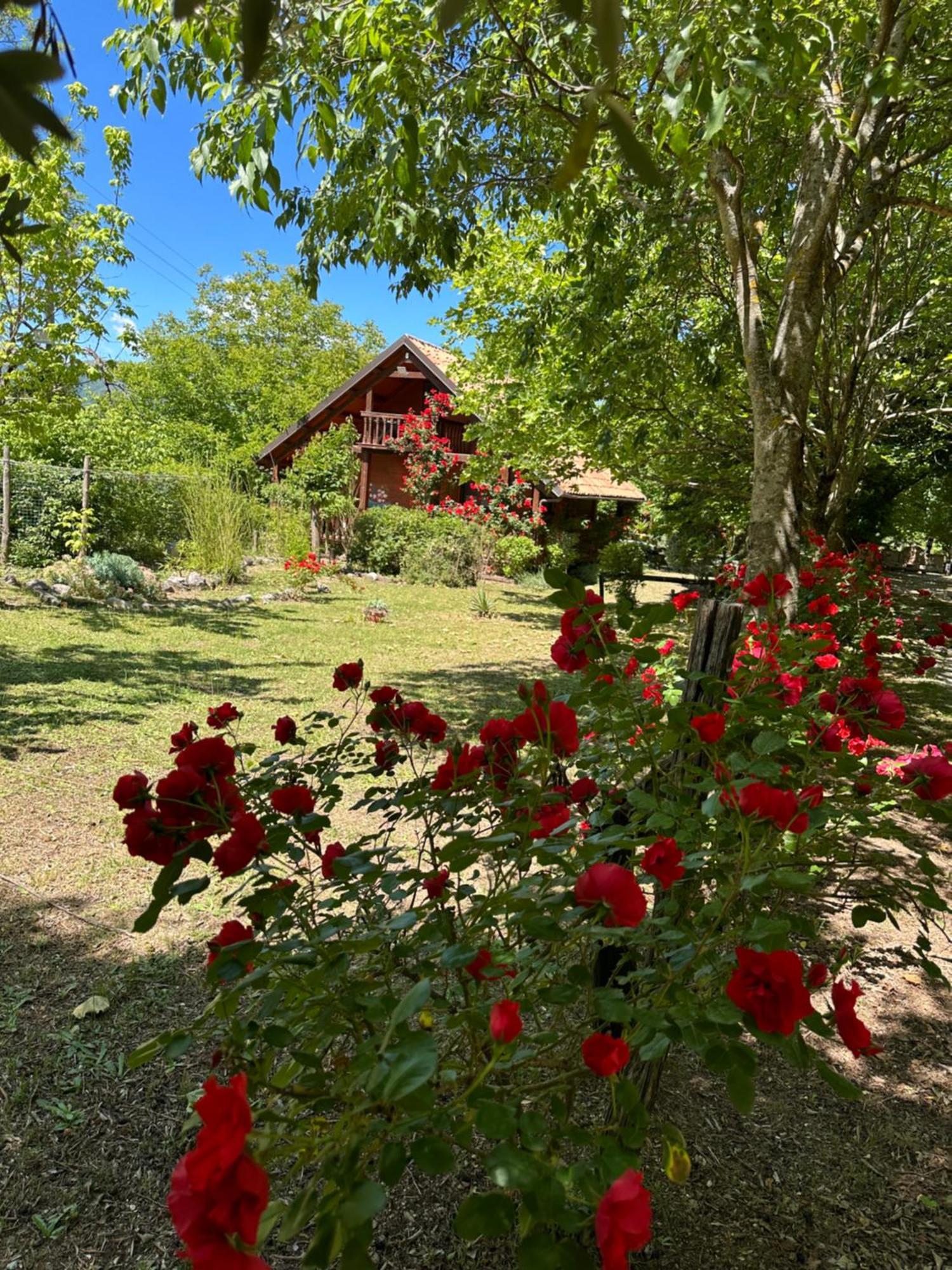 Villa Ciclopark Morano Calabro Exterior foto